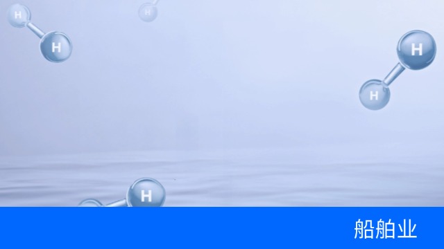 DNV认可
